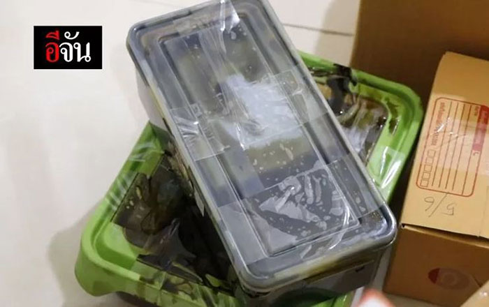 น้ำมันกัญชาเถื่อน