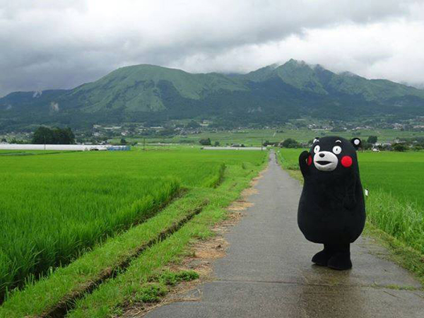 น่ารักอะ มารู้จักเจ้า 