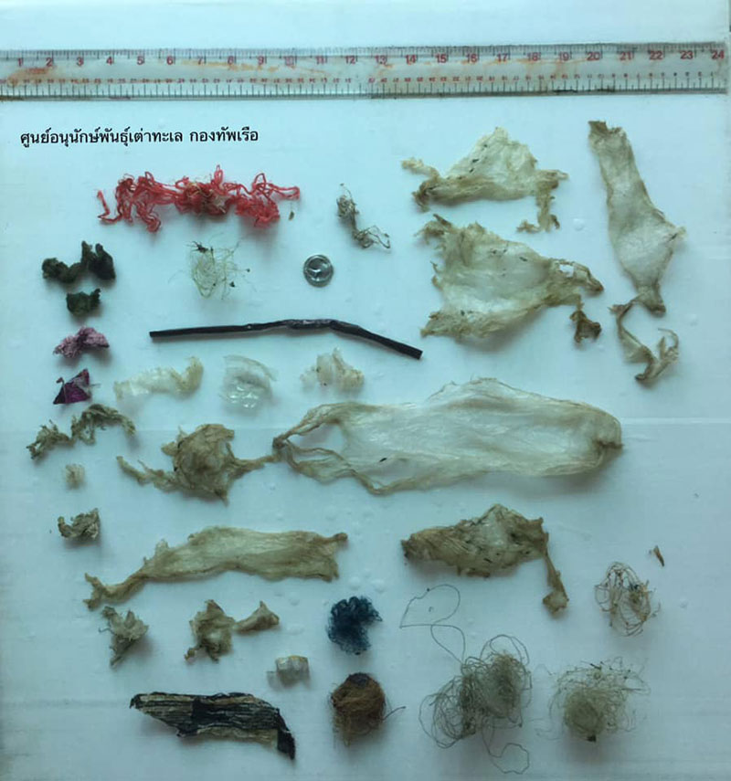 สัตวแพทย์