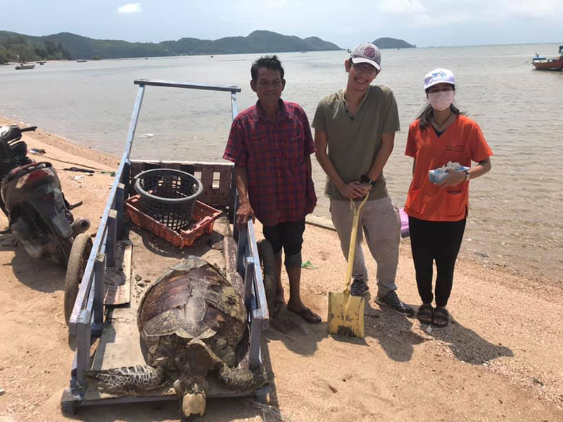 สัตวแพทย์