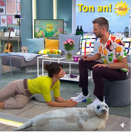 สื่อเยอรมัน