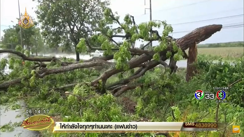 ฟ้าผ่ากลางสุสาน