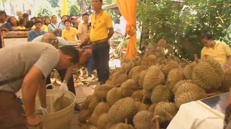 วัดท่าไม้