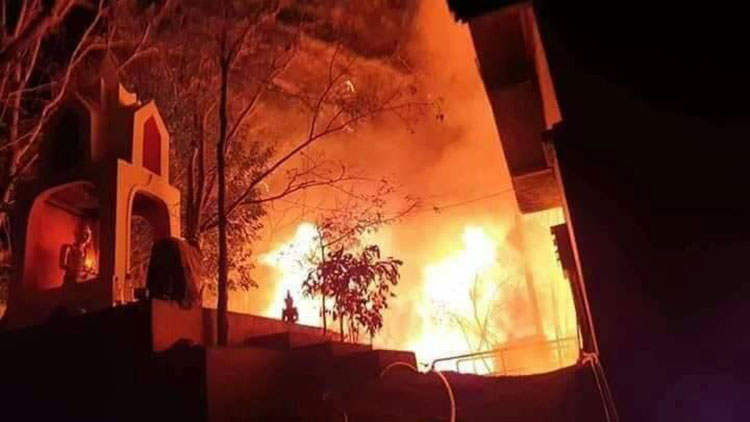 พิษเผาป่า