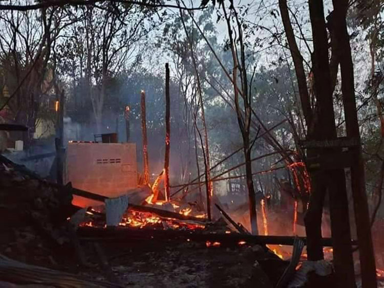 พิษเผาป่า