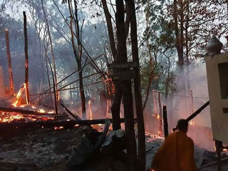 พิษเผาป่า