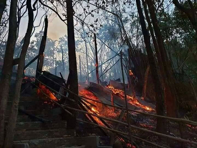 พิษเผาป่า