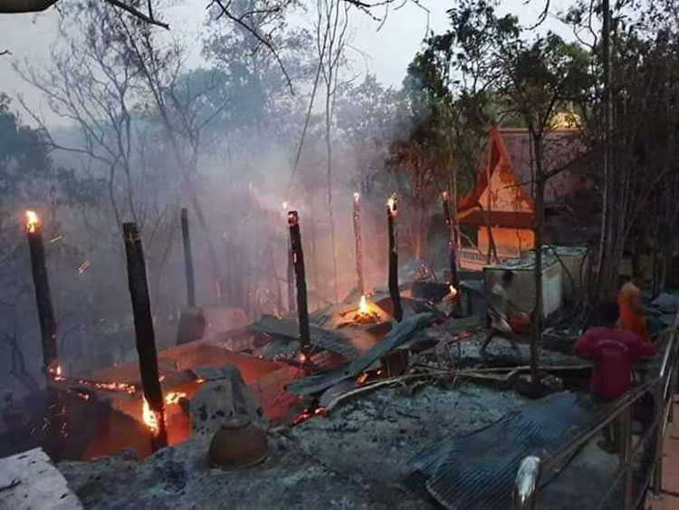 พิษเผาป่า