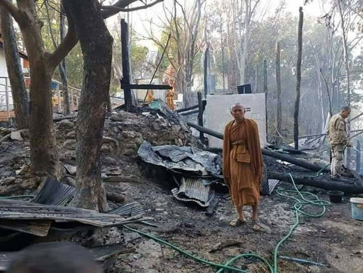 พิษเผาป่า