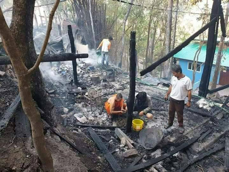 พิษเผาป่า