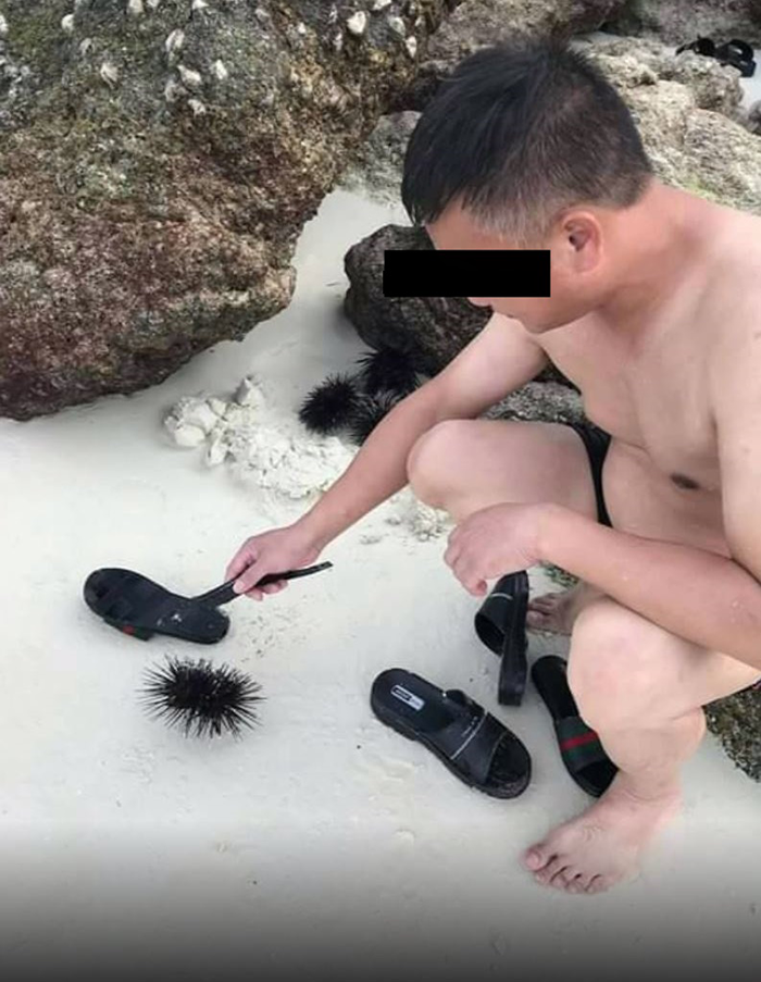 อุทยานตะรุเตา