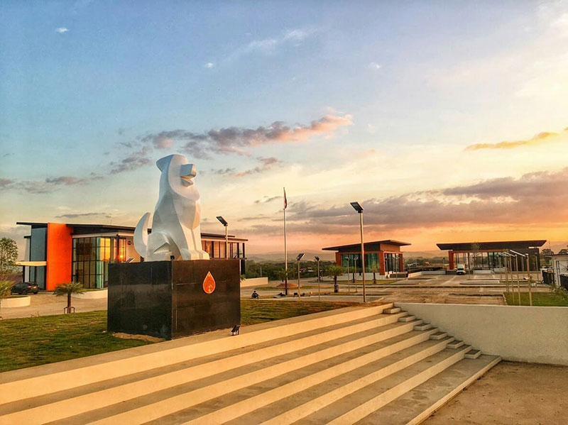 ศูนย์พักพิงสุนัขจรจัด