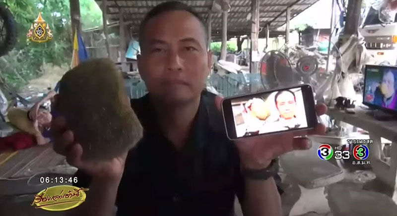 อ้วกหมู 