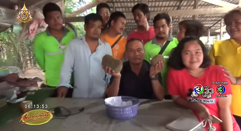 อ้วกหมู 