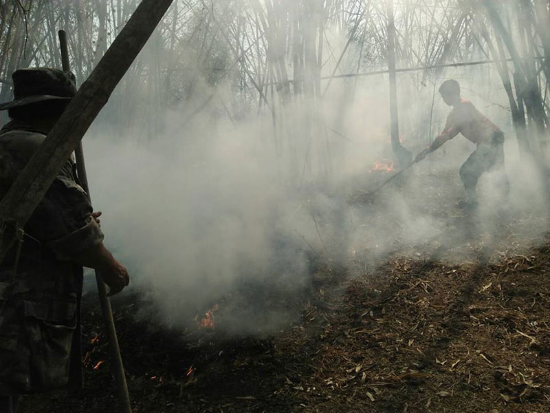 เชียงใหม่