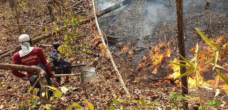 เชียงใหม่