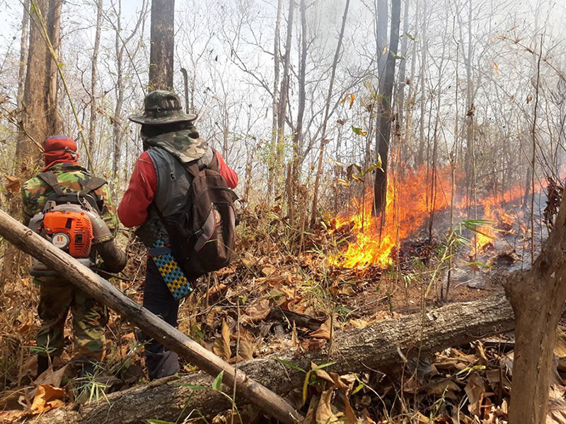 เชียงใหม่