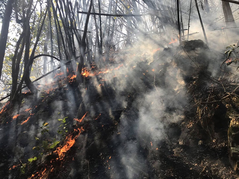 เชียงใหม่