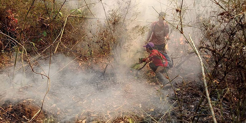 เชียงใหม่