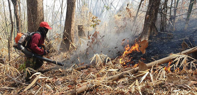 เชียงใหม่