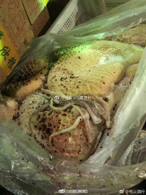 ครัวโรงเรียนสุดสยอง