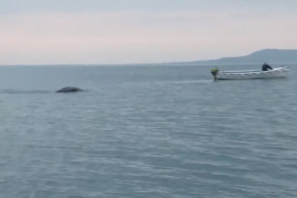 Fishing With David Lynch