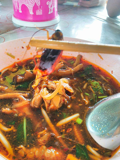 แมลงสาบในก๋วยเตี๋ยว