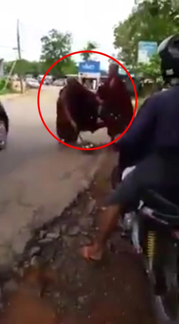 พระตีกัน