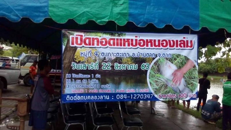 จับปลาในเขตอภัยทาน