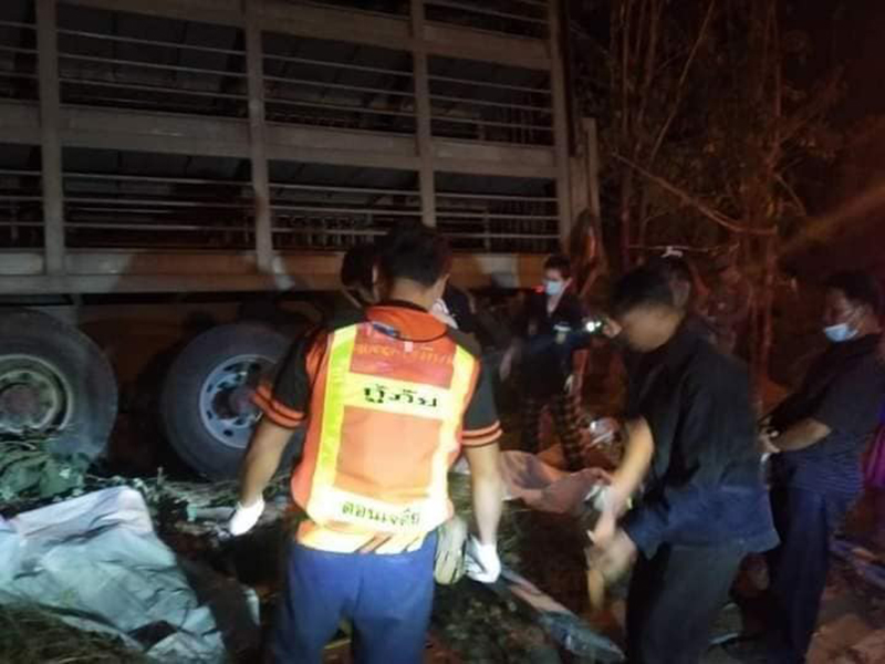 รถชนคนตาย