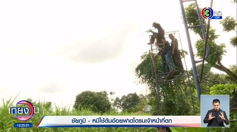 ล่าหมีควาย