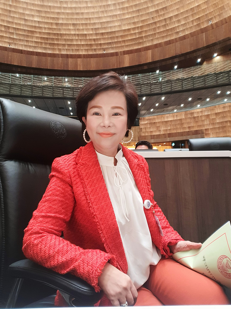ชุมนุมการเมือง