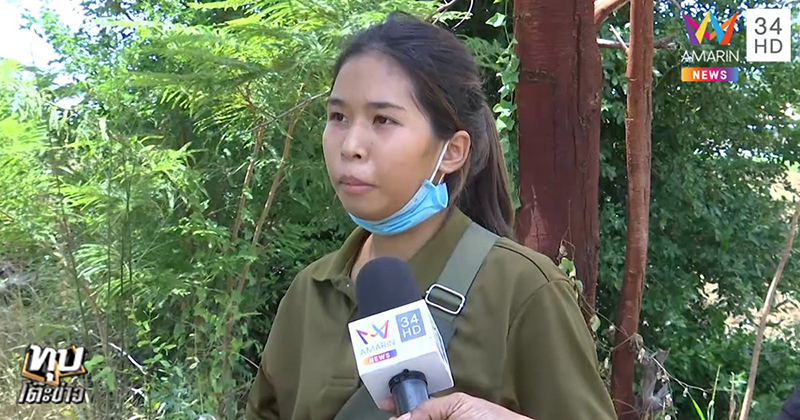 รถชนคนตาย