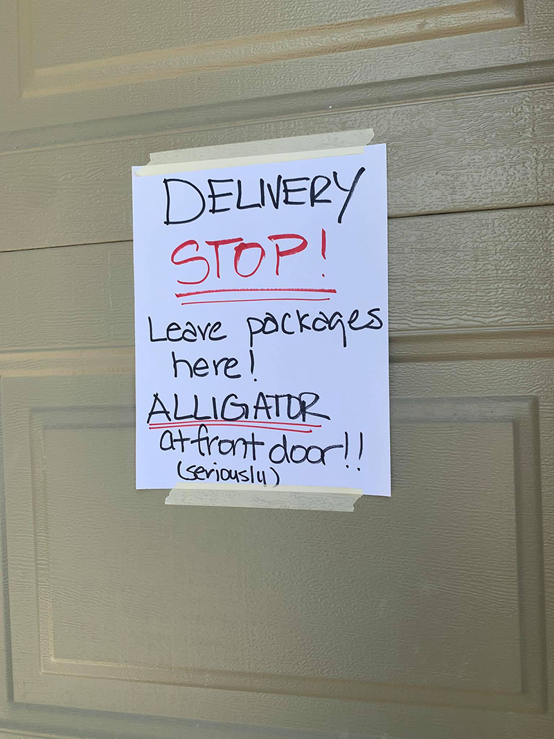 จระเข้เข้าบ้าน