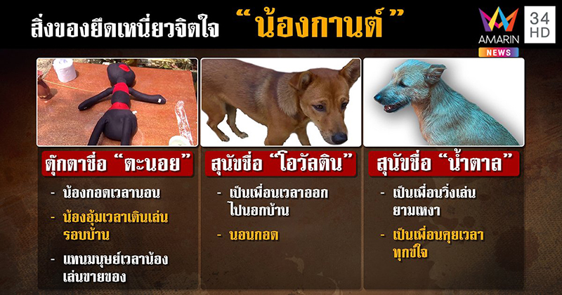 ข่าวน้องกานต์