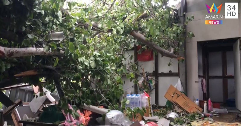 ต้นไม้โค่นทับบ้าน