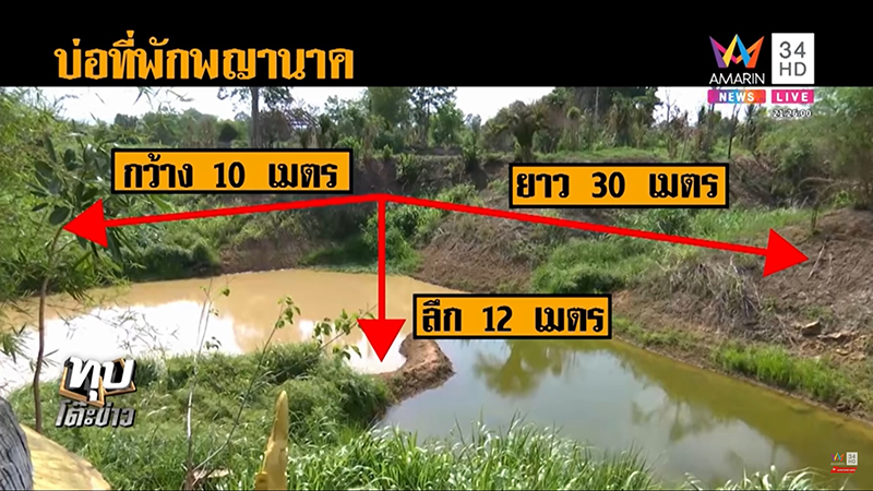 เพชรพญานาค