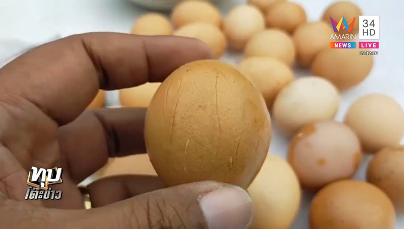 ไข่ปลอม