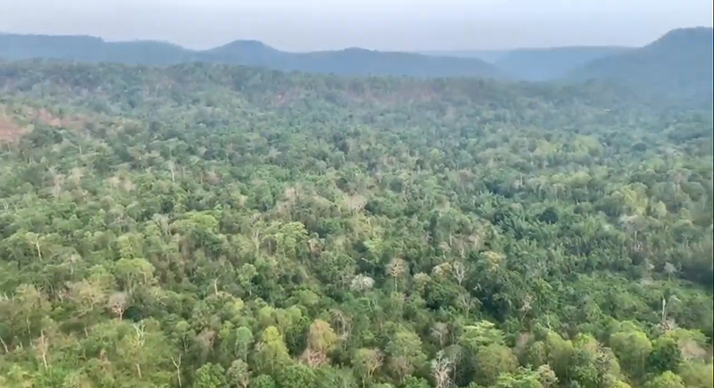 หลงป่าเทือกเขาลำพาด