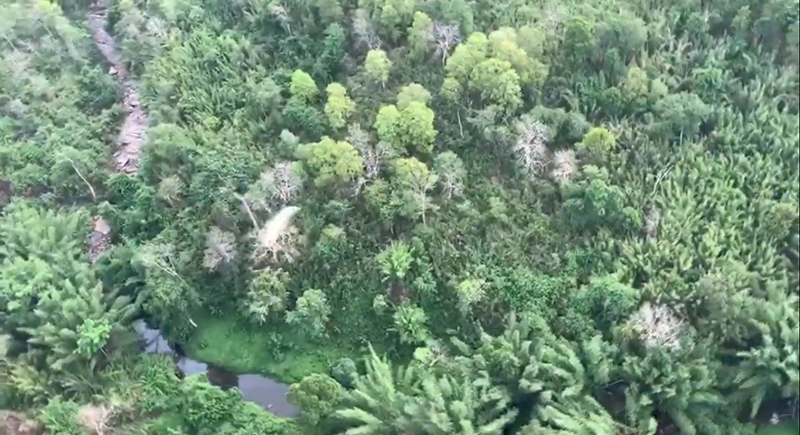 หลงป่าเทือกเขาลำพาด