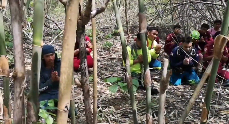 หลงป่าเทือกเขาลำพาด