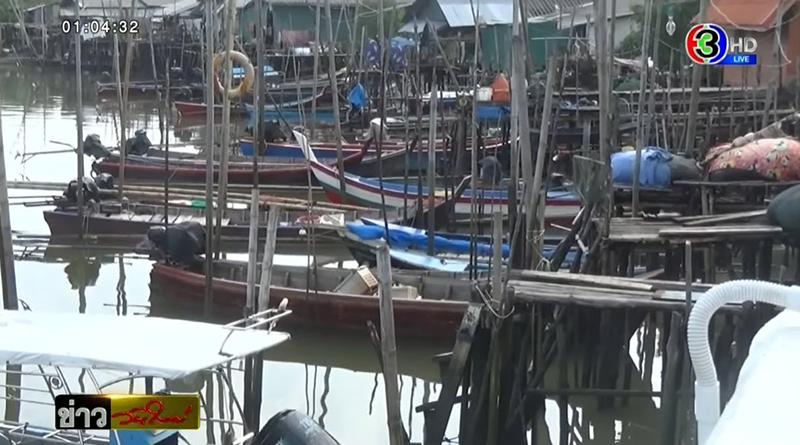 ฉลามกัดเด็ก