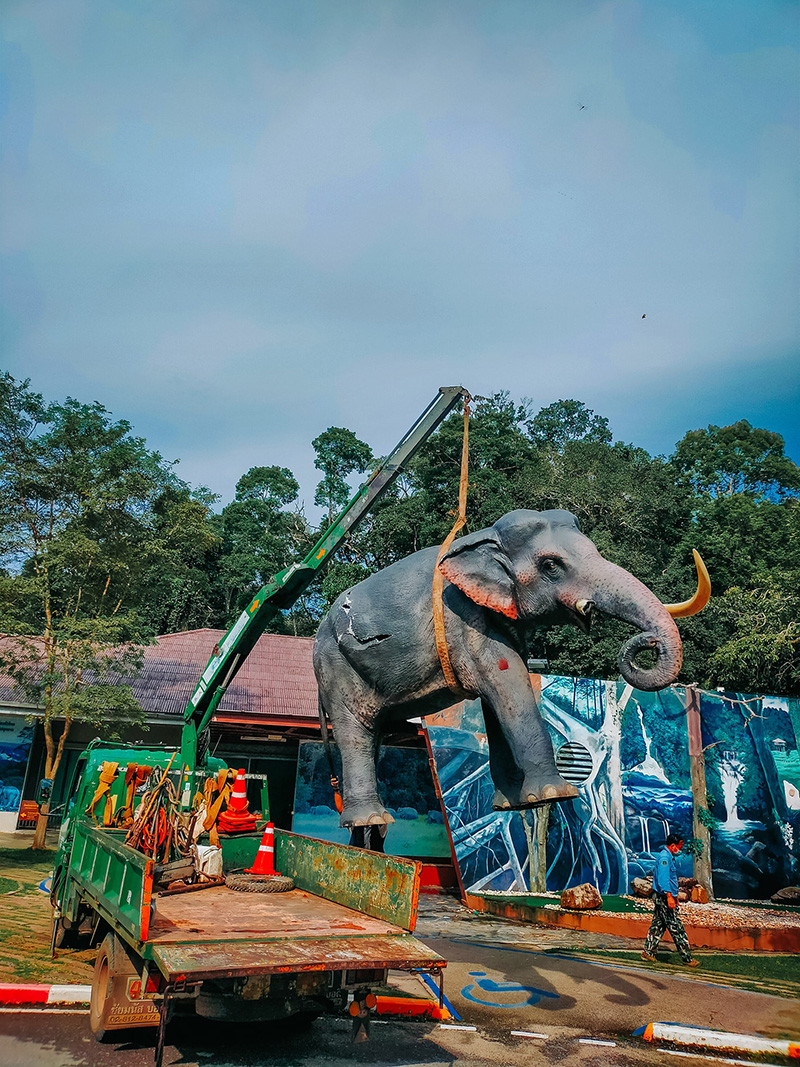 ช้างป่า