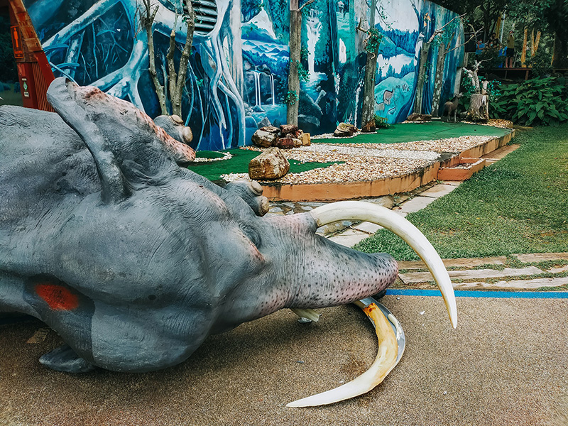 ช้างป่า