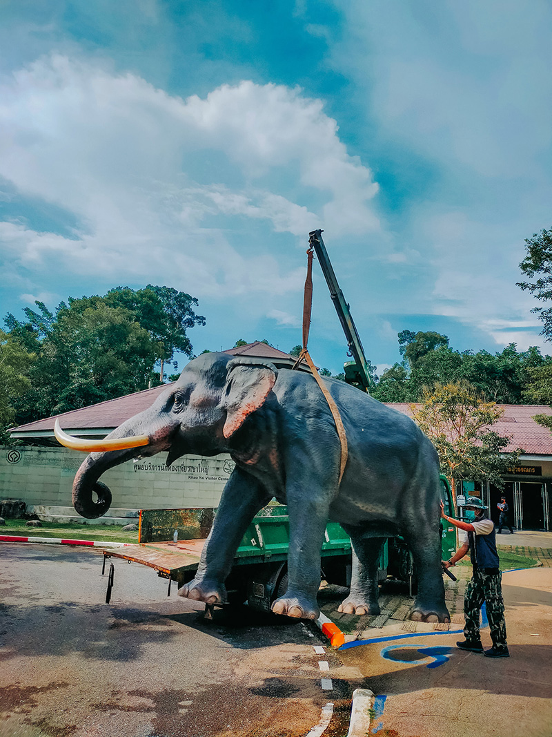 ช้างป่า