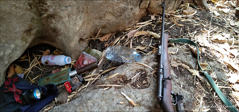 นกเงือก