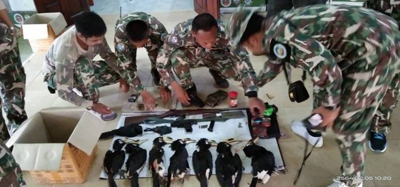 นกเงือก