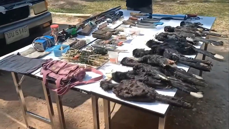 นกเงือก