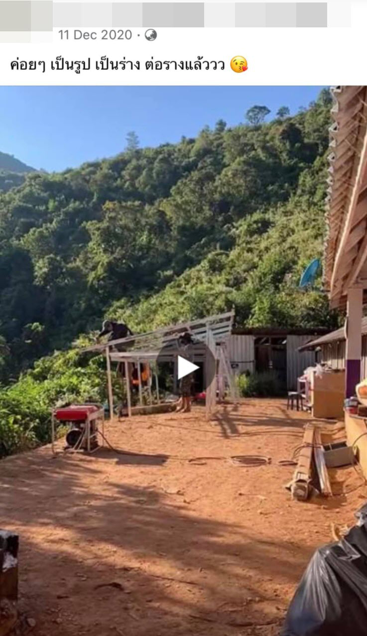 พิมรี่พาย