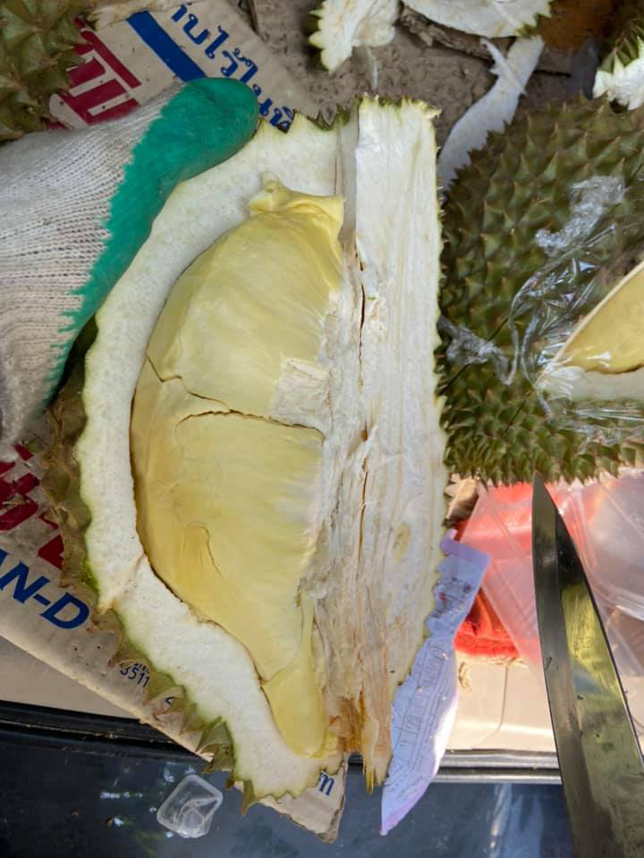 ทุเรียน